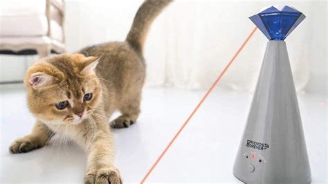 Cat Laser Toys | The 12 Best Cat Laser Toys for Fun, Exercise, and Safety