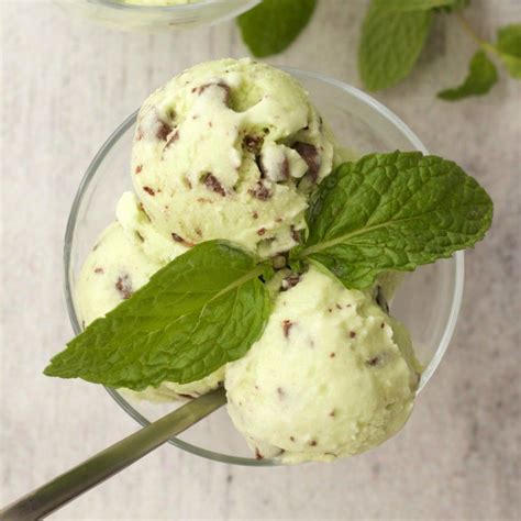 Vegan Mint Chocolate Chip Ice Cream - Loving It Vegan