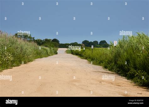 Dirt road near the beach Stock Photo - Alamy