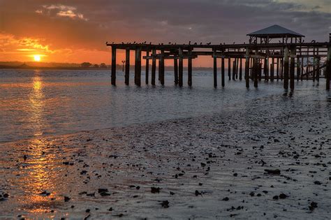 The Old Dock Coastal Art | EDA Surf