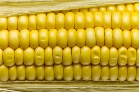 The Surprising Nutritional Benefits of Corn - Health & Detox & Vitamins