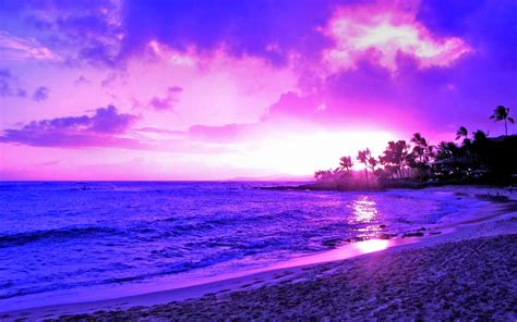 Konsep Purple Beach Sunset, Paling Top!