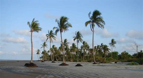 Six Seasons Tourism: Travel and Tourism of KuaKata Sea Beach in Bangladesh.