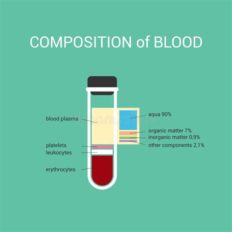 The Composition Of Human Blood In Vitro Composition Plasma Stock Vector ...