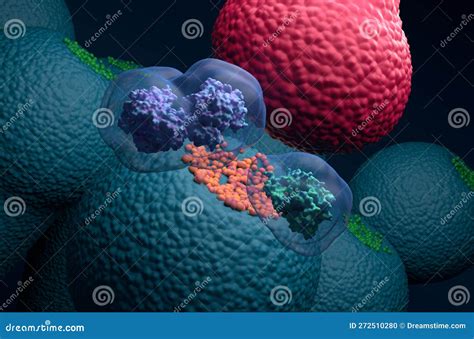 Cyclooxygenase Enzyme (COX-1 COX-2) Prostaglandin-endoperoxide Synthase ...