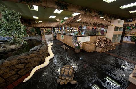 Reptilian Zookeeper for a Day: In Fountain Valley, CA | Reptile zoo, Reptile house, Reptile room