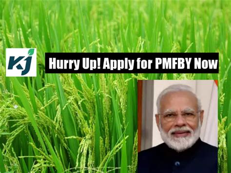 PMFBY: How Farmers Can Apply for Pradhan Mantri Fasal Bima Yojana; Step-by-Step Process Inside