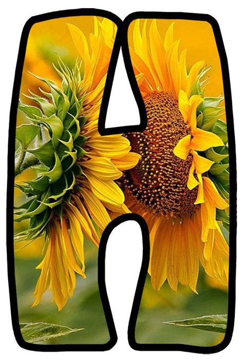 a sunflower is shown in the shape of a letter