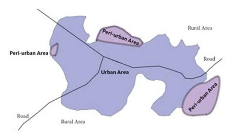 COVID-19 exposes fault lines in peri-urban areas