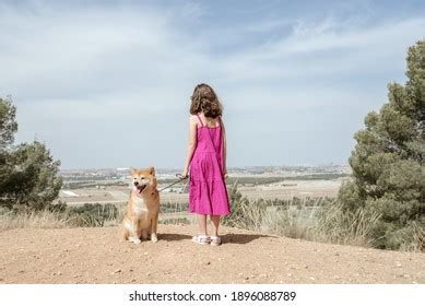 Back View Unrecognizable Little Girl Dress Stock Photo 1896088789 | Shutterstock