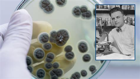 Penicillin: From limited wonder drug to worldwide lifesaver | Cold ...