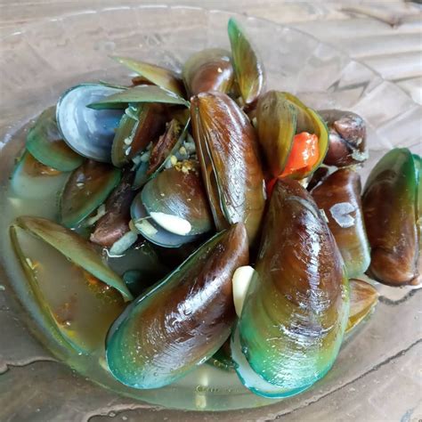 Kerang Hijau Kuah Bumbu Kuning / Terkuak Kerang Hijau Kuah Kuning Pedas Super Resep Masakanku ...