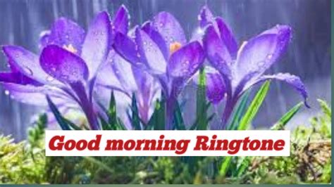 Good morning Ringtone - YouTube