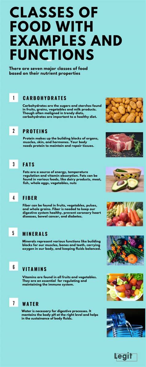 The basic classes of food with examples, functions and pictures