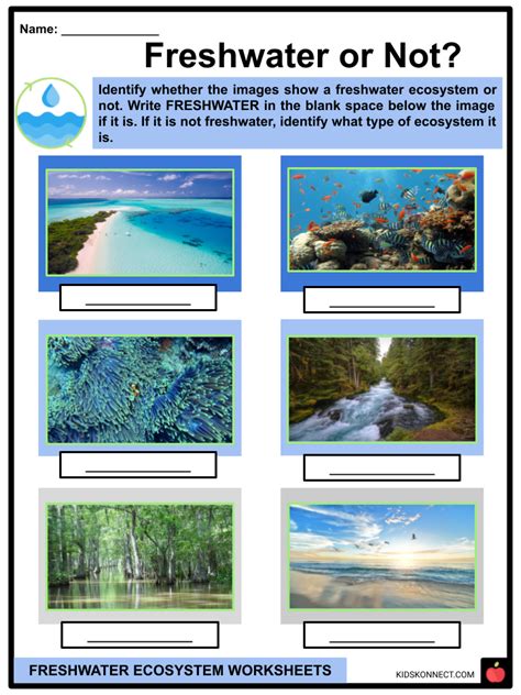 Freshwater Ecosystem Worksheets | Ecosystem, Definition, Distribution