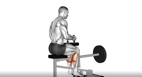 Seated Calf Raise Form | Elcho Table