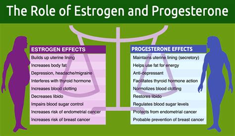 Estrogen discovery could shed new light on fertility problems - https://debuglies.com