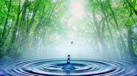 Refreshing Water ~ Relax Music with Nature Sounds - YouTube Music