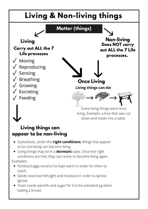 Natural Sciences & Technology – Grade 4: Worksheets • Teacha!