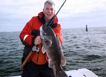 NJDEP Division of Fish & Wildlife - Reef Fishing for Fall Black Sea Bass and Tautog