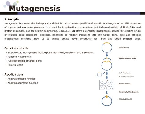 Mutagenesis | Biosolution