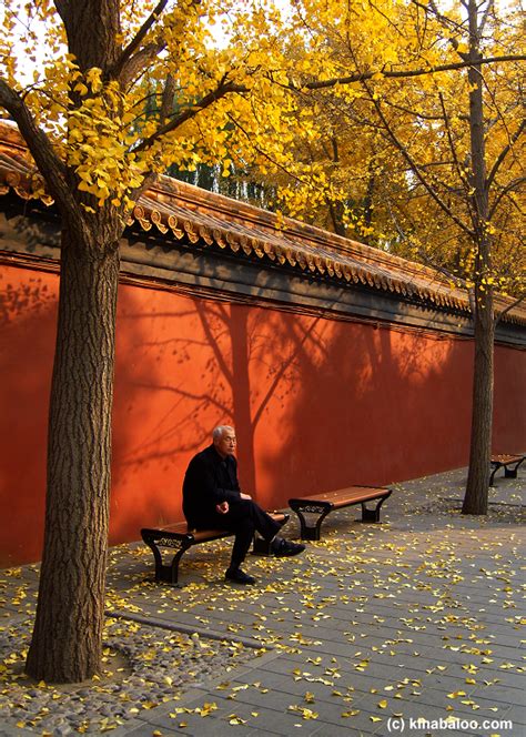 Photographs of the colors of autumn in Beijing