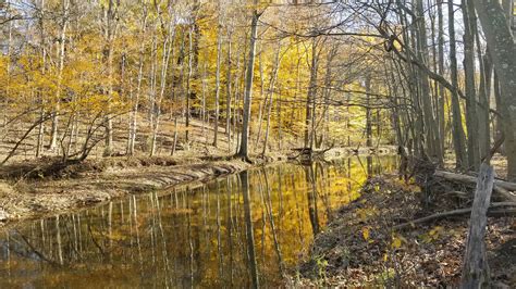 Hike Jacobs Creek Trail | New Jersey Trails Association