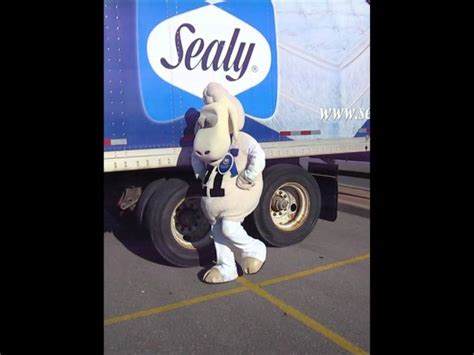 SERTA SHEEP Vs. SEALY - YouTube