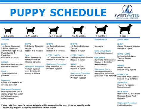 puppy vaccination schedule india - Ardelle Seal