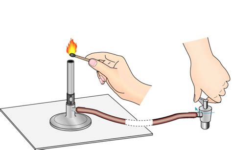 Parts of the Bunsen Burner Diagram | Quizlet