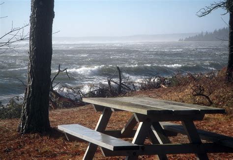 Popham Beach vs. the River | Bates Magazine | Bates College