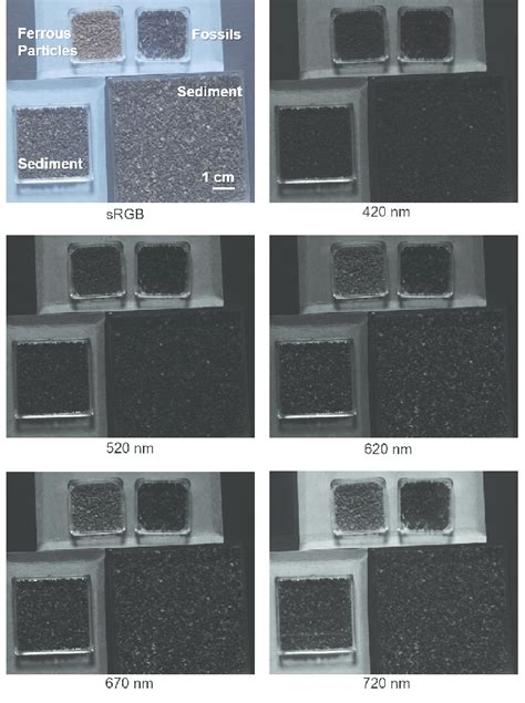 Examples of spectral images of Sample 2 through spectral bands (420 ...