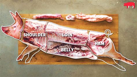 Watch How to Butcher an Entire Pig - Every Cut of Pork Explained ...