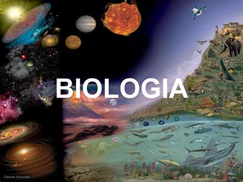 Unidad i, pres 1. historia de la biología, origen de la vida y el universo | PPT