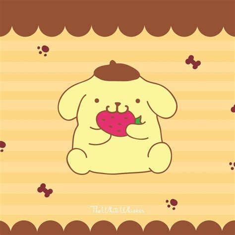 Pompompurin Wallpapers - Wallpaper Cave