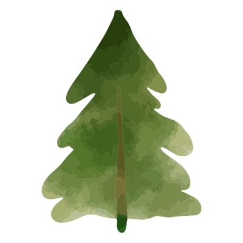 Pine Tree Watercolor Png - Download Free Png Images