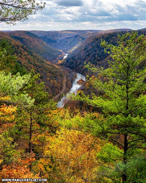 Where to Find Incredible Foliage Views in the PA Grand Canyon