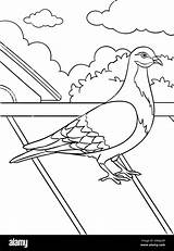 Pigeon Coloring Page For Kids Stock Vector Image & Art  Alamy sketch template