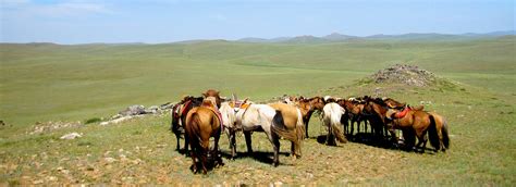 Horseback Journey into Gobi Steppe on Mongolian horses