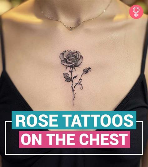 Top 50 Amazing Rose Tattoos On The Chest