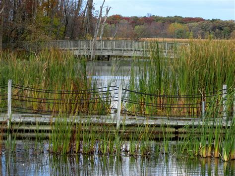 The Park Next Door - Horicon Marsh State Wildlife Area - Horicon, WI ...