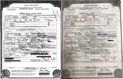 Epstein Death Certificate discrepancies + other interesting ...