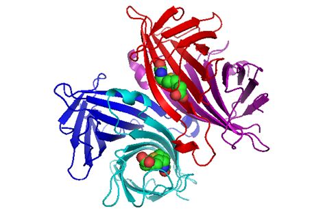 Bacterial Proteins; Bacterial Gene Products; Bacterial Gene Proteins ...