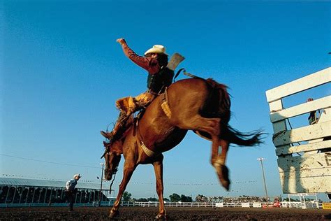 Cowboy and Bucking Bronco Wallpaper Wall Mural - Self-Adhesive - Multiple Sizes - Contemporary ...