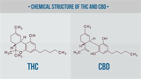 Decarboxylation: How to Decarb Weed The Right Way (Temperature Chart ...