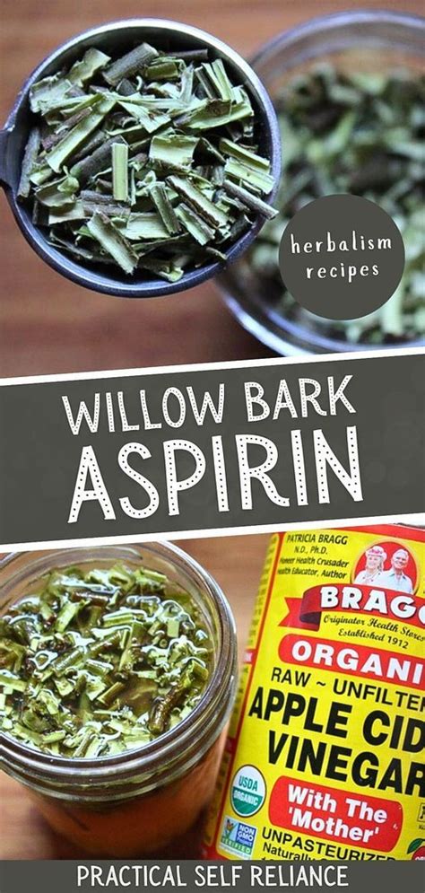 How to Make Willow Bark Aspirin in 2024 | Herbal remedies recipes ...