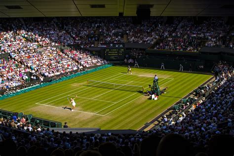 Wimbledon Championships 2024 Winners - Cathe Phylys