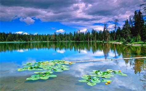 Wallpaper : landscape, forest, lake, nature, reflection, clouds, green ...