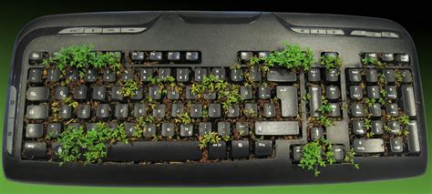 Green Keyboard Free Stock Photo - Public Domain Pictures