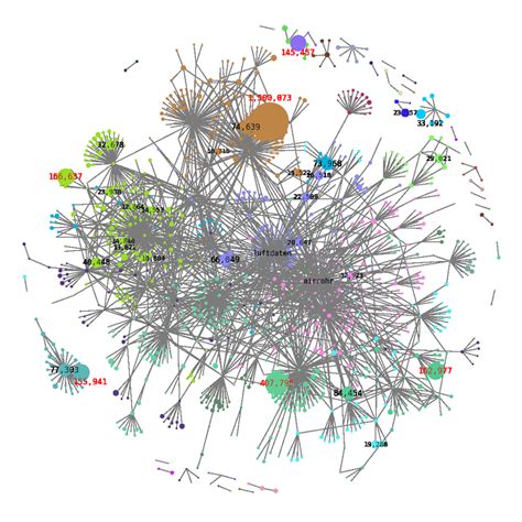 Network graph shows influential Twitter accounts involved in ...